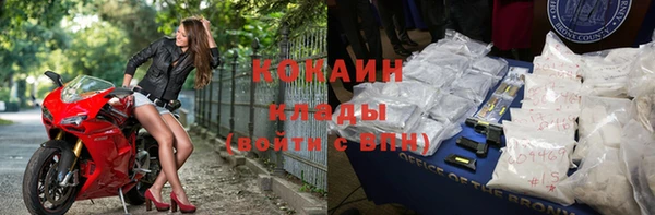 спиды Каменногорск