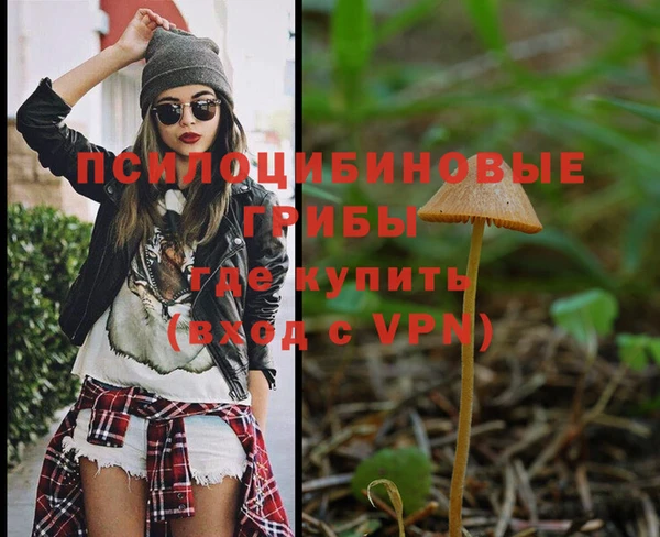 спиды Каменногорск